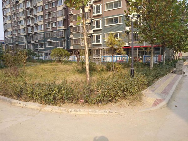 保定小区 满城小区 惠友购物小区 西山花园 实景图 1/ 30  &