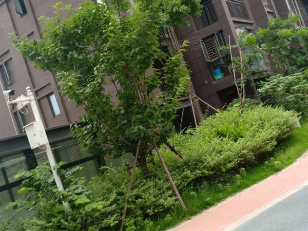 武汉小区 硚口小区 宗关小区 常码头鑫城汇实景图 1 26&