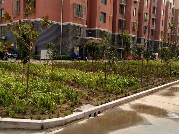 徐州小区 贾汪小区 青山泉镇小区 国宾华府实景图 1/ 16  &