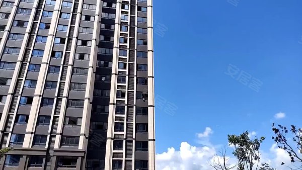 上海小区 松江小区 车墩小区 松南城华品苑 松南城华品苑视频视频
