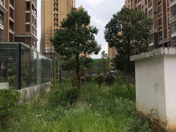 漳州小区 漳浦小区 城区小区 江滨花园b区 实景图 1/ 21  &