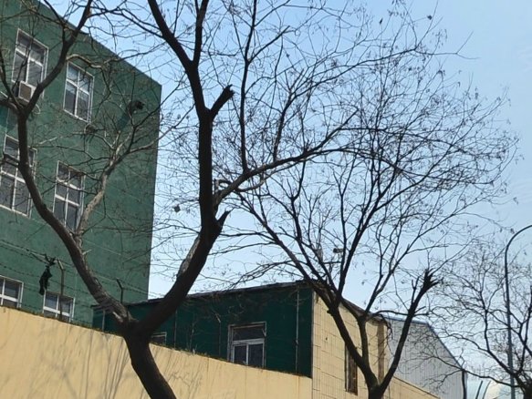 吉市口佳苑(北区,兴华路-济宁吉市口佳苑(北区)二手房,租房-济宁安居