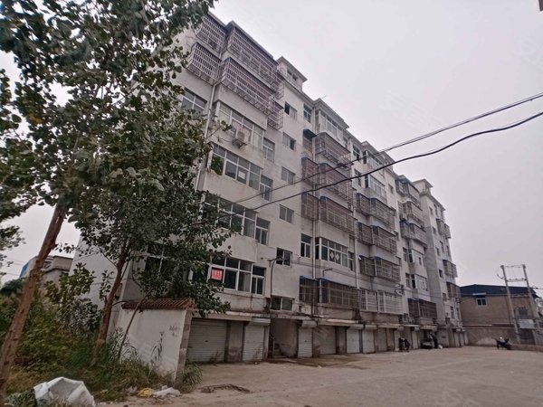 徐州小区 邳州小区 民主路小区 阳光花园西区(碾庄镇)实景图 1/ 15 
