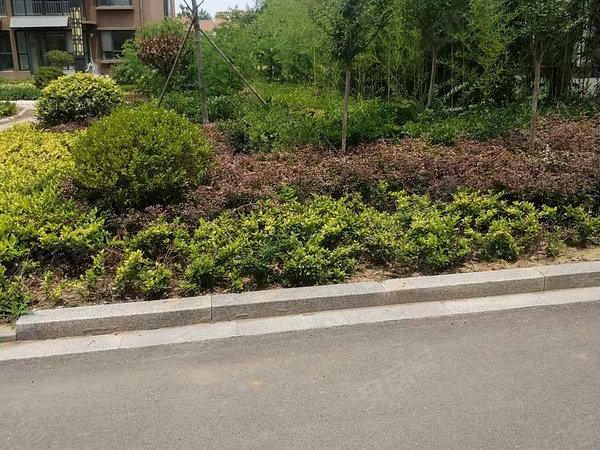 临沂小区 沂水小区 莲旺街小区 翡翠御园 实景图 1/ 13  