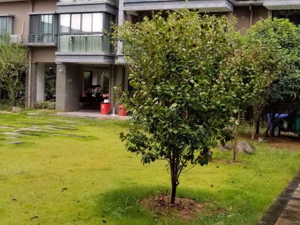 祥龙福邸,双龙南街1316号-金华祥龙福邸二手房,租房-金华安居客