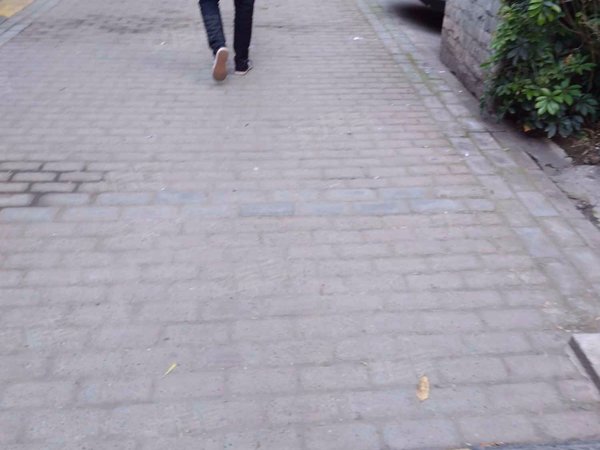 兴元华盛三期 成华-驷马桥-羊子山西路88号