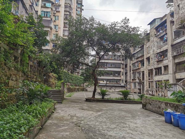 经贸委宿舍,黎明路22号-重庆经贸委宿舍二手房,租房-重庆安居客