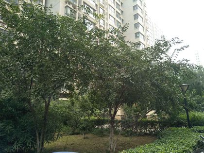 盛世天骄二手房位置 420x315m.jpg?t=1