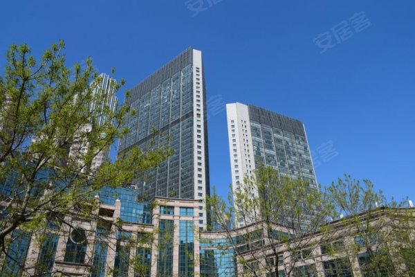 青岛写字楼出租 市南写字楼出租 五四广场写字楼出租 颐和国际 房源