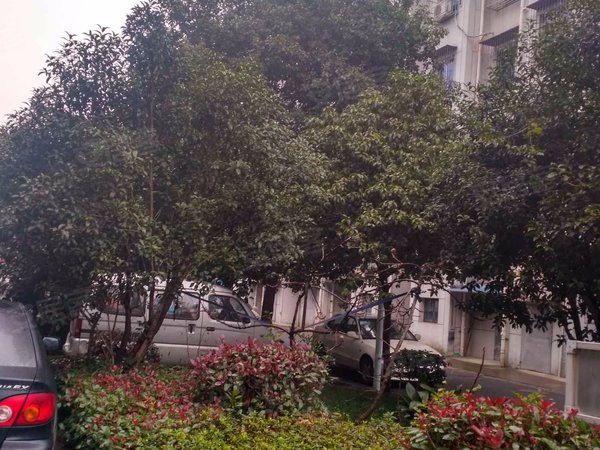 宁波小区 慈溪小区 慈溪市区小区 名仕园 实景图 1/ 17  