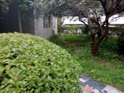 420x315m.jpg?t=1