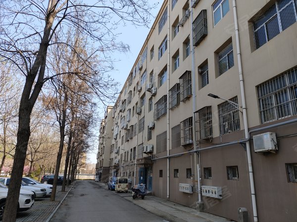 宁阳小区 北关小区 宁阳北关小区 林业局家属院实景图 1/ 8 