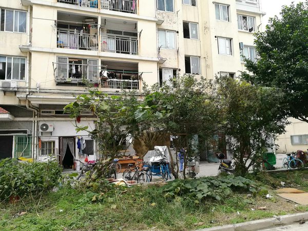 丽园小区(闵行)