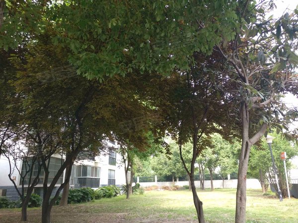 翠竹园b区,清溪东路-合肥翠竹园b区二手房,租房-合肥安居客