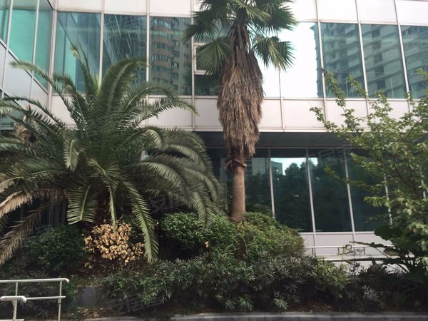 碧瑶行政公寓 延安西路1168号 上海碧瑶行政公寓二手房 租房 上海安居客