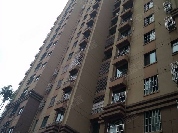 金葡萄家园a区,南淝河路102号 - 合肥金葡萄家园a区二手房,租房,房价