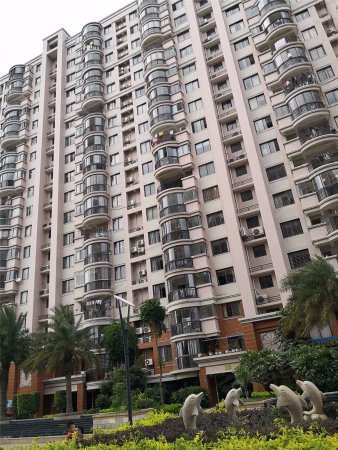 浮桥明光花园 高层 大三房精装113平方 零公摊