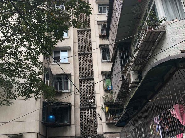 重庆小区 沙坪坝小区 磁器口小区 杨家山小区 实景图 1/ 10 