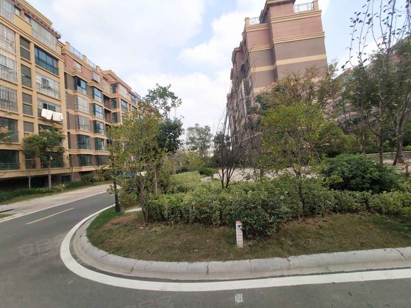 徐州小区 睢宁小区 睢宁城区小区 金帝花苑 实景图 1/ 16  