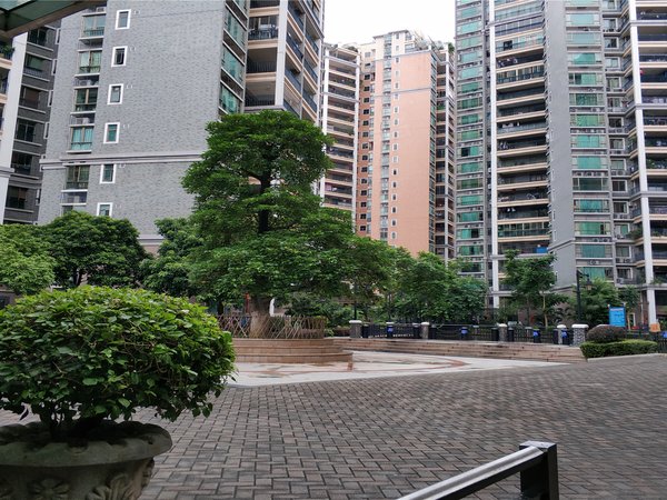 骏景湾豪庭,白石大道116-170号-江门骏景湾豪庭二手房,租房-江门安居