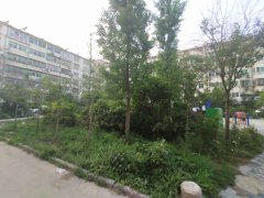 240x180.jpg?t=1