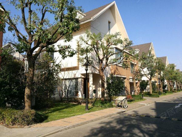 温莎独栋别墅出租,5间卧室全套房,带私家游泳池(实拍照片)