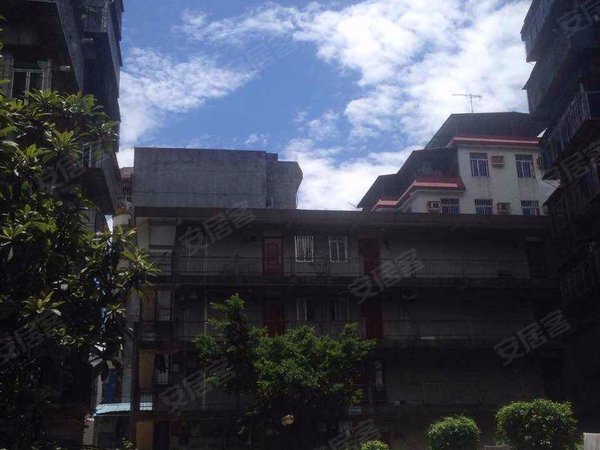 深圳小区 罗湖小区 泥岗小区 > 红岗西村