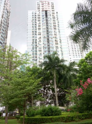 福源大厦,彩田路2014号-深圳福源大厦二手房,租房-深圳安居客