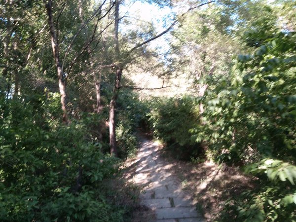 美林逸墅 东大营街31 161号 沈阳美林逸墅二手房 租房 沈阳安居客