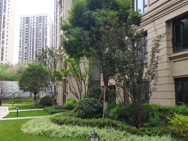 融创江南融府(洋房),秉乐路1,9号-重庆融创江南融府(洋房)二手房,租房