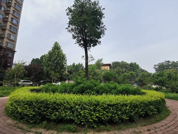 西安小区 临潼小区 秦陵小区 瑞麟君府(二期)实景图 1/ 6  &