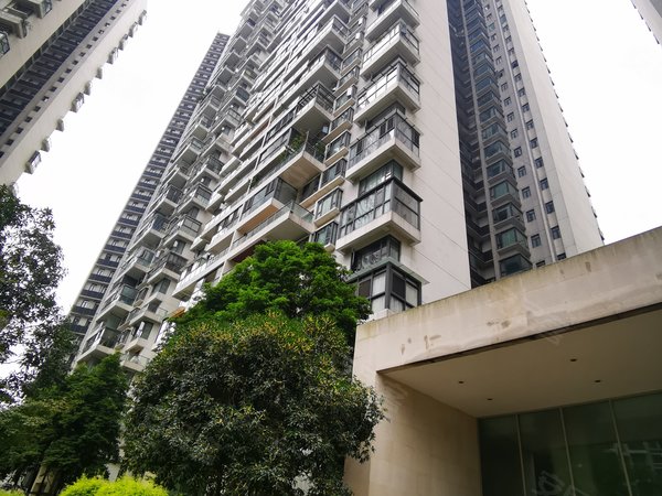 时代尊邸,东大街芷泉段88号-成都时代尊邸二手房,租房-成都安居客