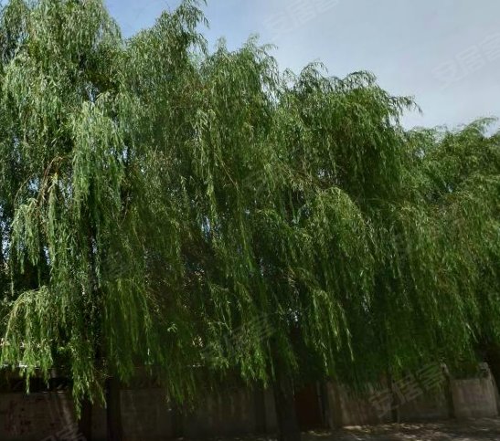 东京陵四区介绍,东京陵四区二手房、租房,辽阳