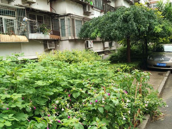 东土城路13号院