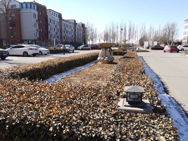 美林小镇,浮阳北大道-沧州美林小镇二手房,租房-沧州安居客