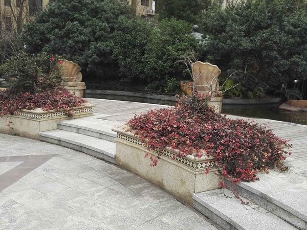 紫荆公馆,南环路-东阳紫荆公馆二手房,租房-东阳安居客