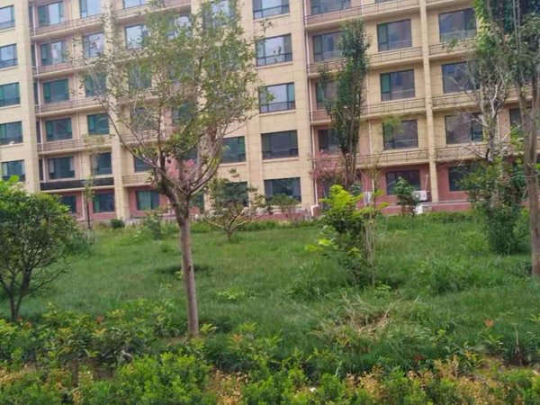 现代锦绣城,健康东街187号-潍坊现代锦绣城二手房,租房-潍坊安居客