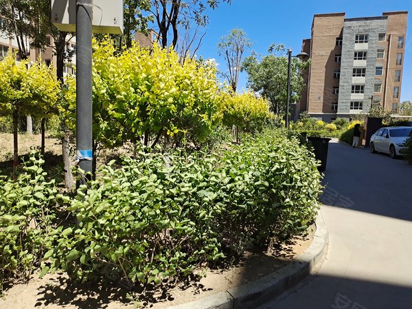 和泰花园,惠民西路-大同和泰花园二手房,租房-大同安居客