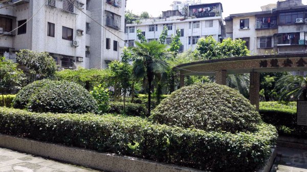 蟠龙花园 低层两房 厅大房大 带平台花园 前进路小学