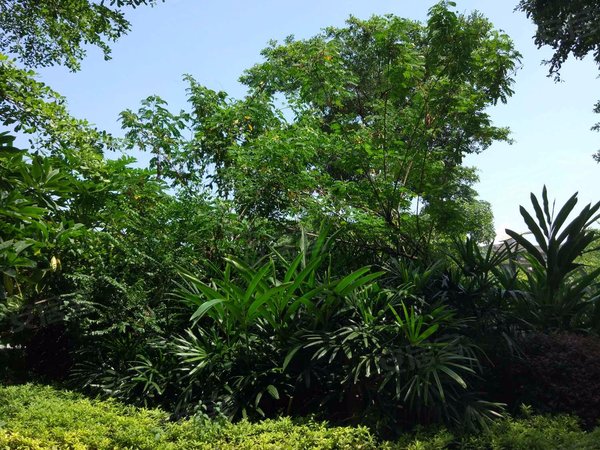 凤湖新城三区,凤湖路82号-福州凤湖新城三区二手房,租房-福州安居客