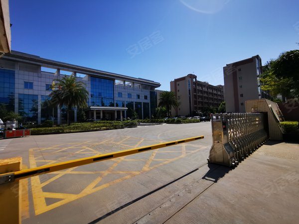 坪山锦龙大道实业客厂房办公室转租园区100起分交通便利