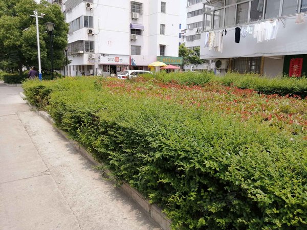 西苑小区 哥伦布广场-建湖东方广场-太平路