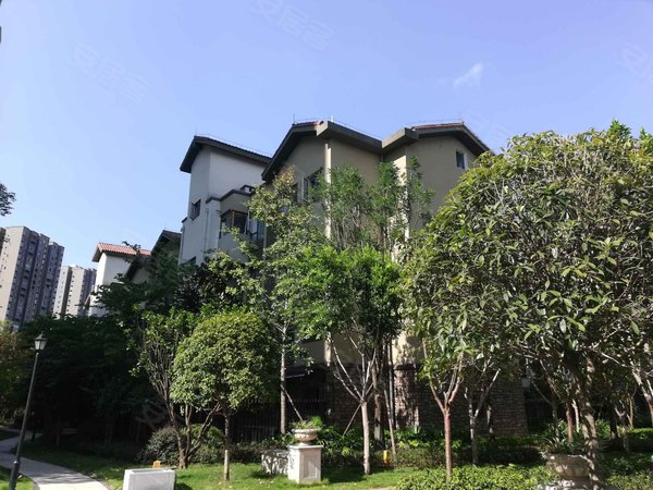 重庆小区 忠县小区 忠县城区小区 香山国际(a区)实景图 1/ 14 