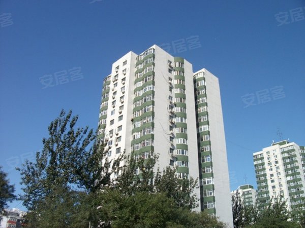 10石榴庄站 石榴园北里温馨大两居出租 随时看房 0押金