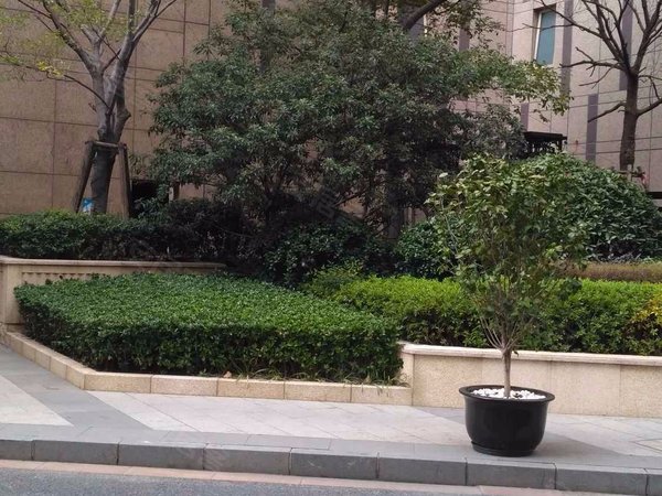 盛大兰馨公寓