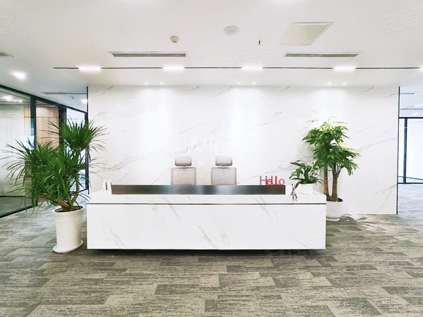 【多图】孵化园丨三线直达丨大气前台丨正看双子塔丨金融城商圈丨接待