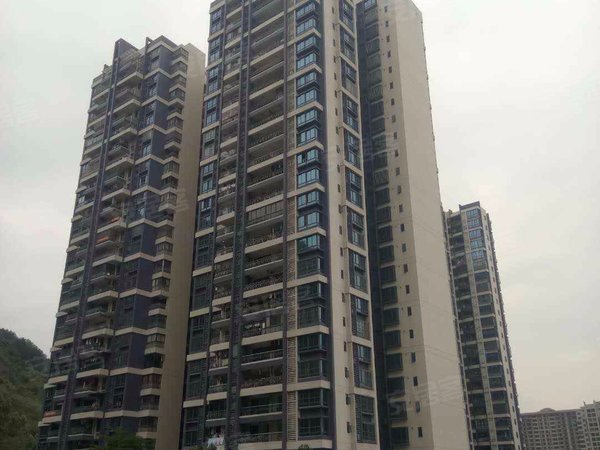 碧桂园凤凰城凤锦苑 凤凰城大道 广州碧桂园凤凰城凤锦苑二手房 租房 广州安居客