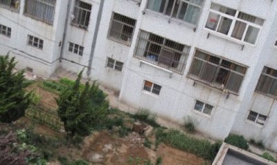 高新区二手房网：链接未来