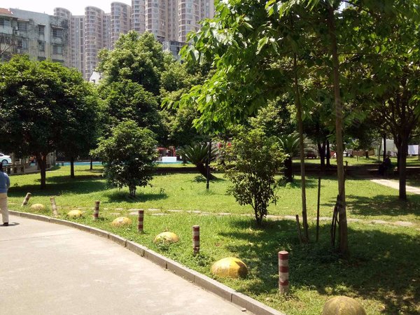 长沙小区 开福小区 马厂小区 广福园 实景图 1/ 9  