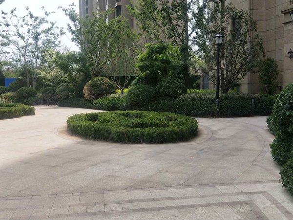 天悦张店-中润华侨城-鲁泰大道,近西八路